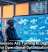 Why Businesses Are Turning to Digital Twins for Operational Optimization